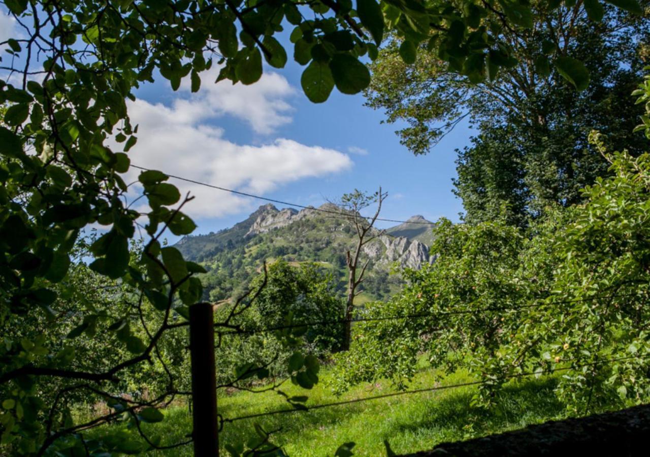 Casa Rural La Aldea Pola de Laviana Ngoại thất bức ảnh
